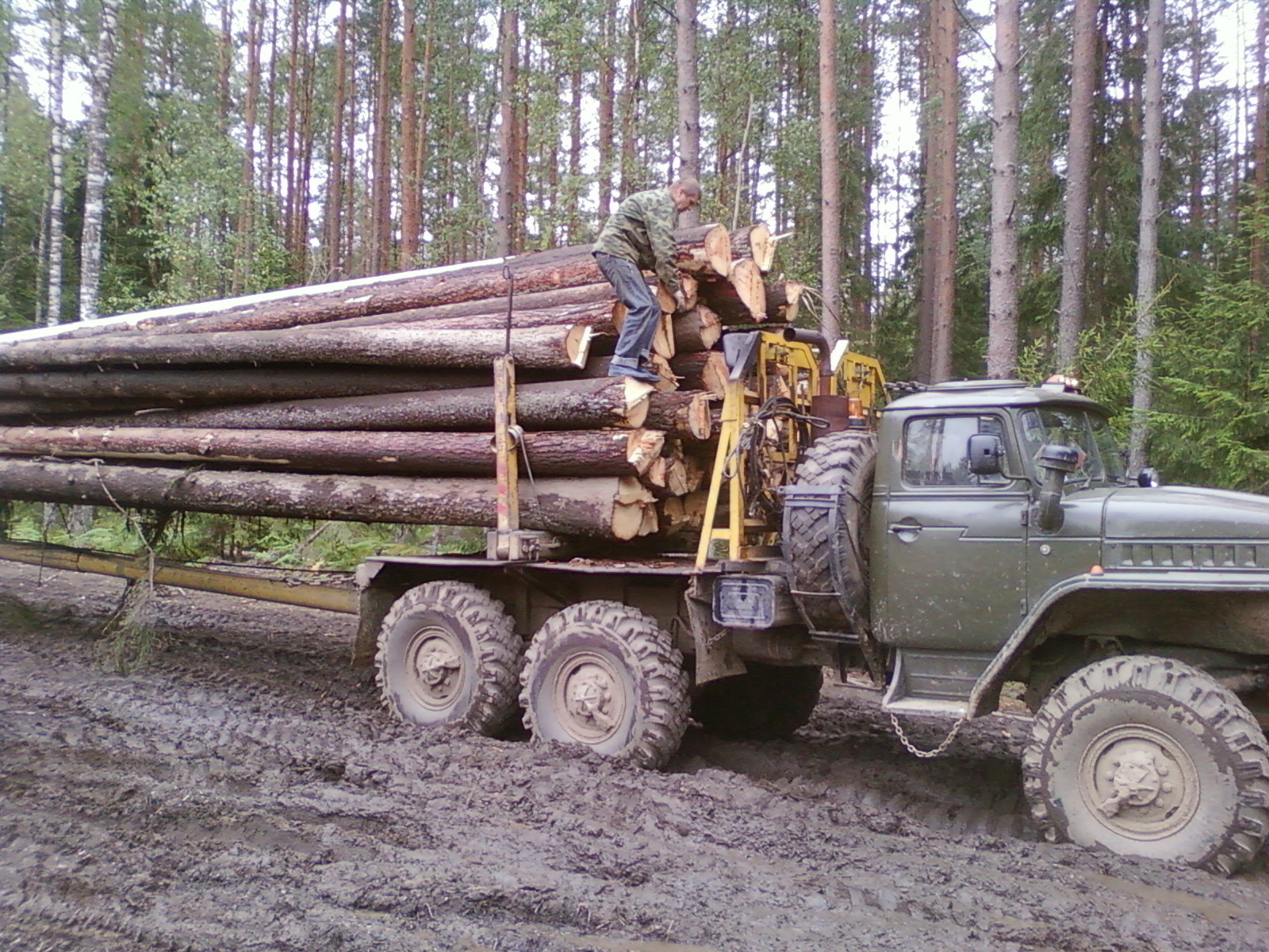 Заготовка бревен для сруба